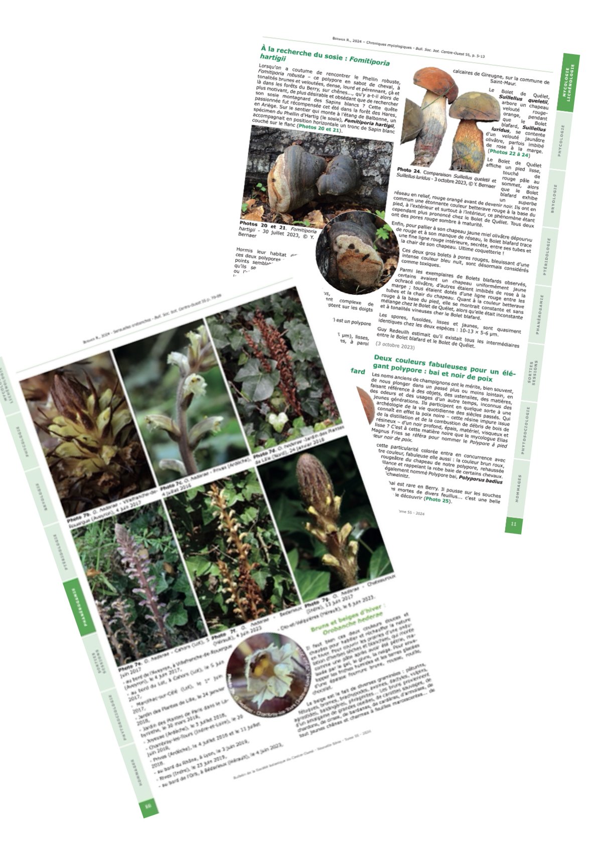 Exemple de mise en page